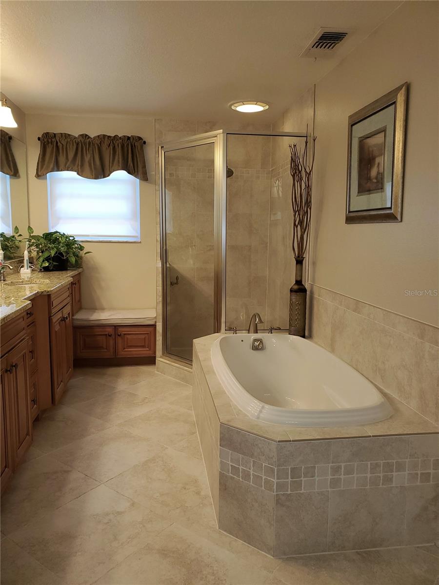 4029 BELL GRANDE DR, VALRICO, FL, 33596