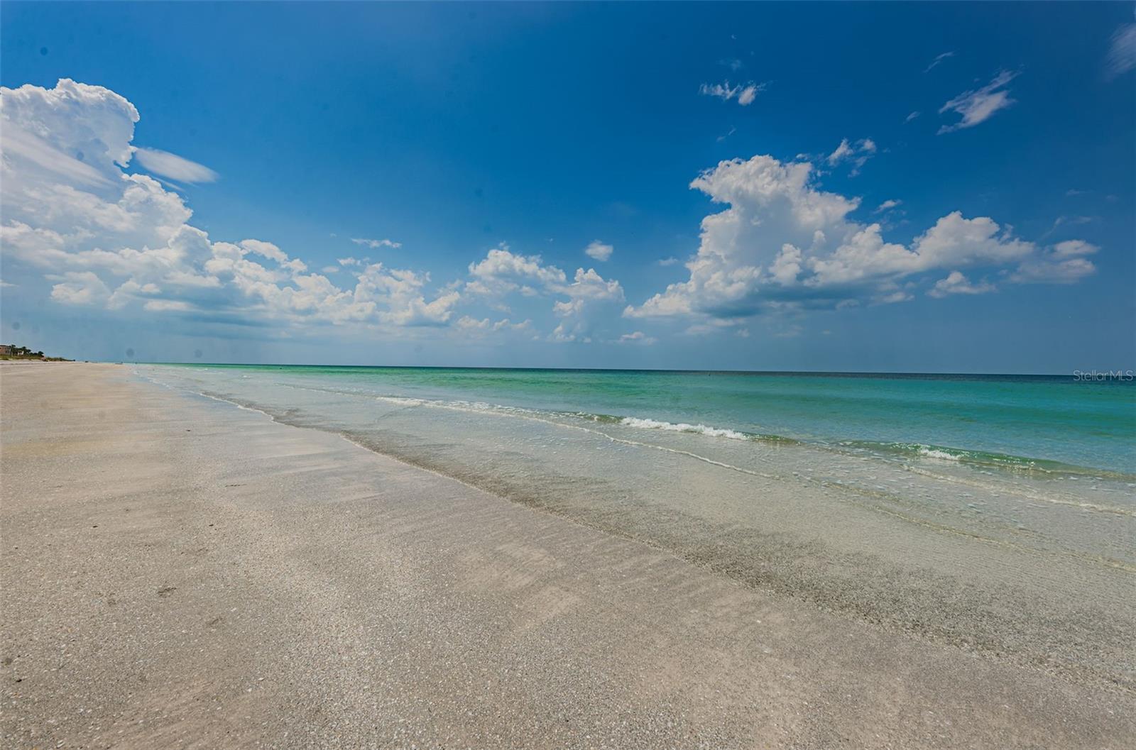 1660 GULF BLVD #202, CLEARWATER BEACH, FL, 33767