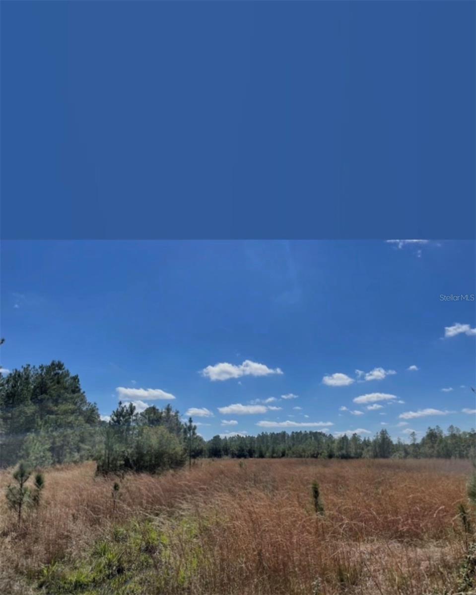 NE 124TH TER, FORT MC COY, FL, 32134