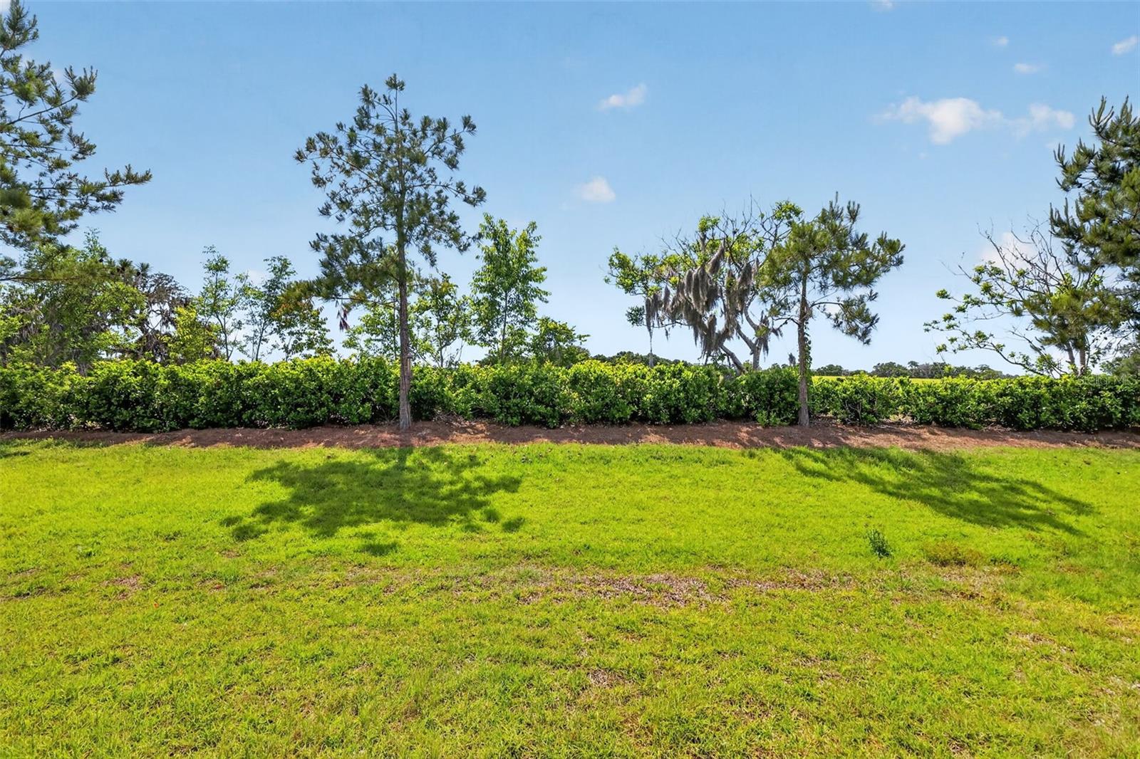 6042 SW 93RD CIR, OCALA, FL, 34481