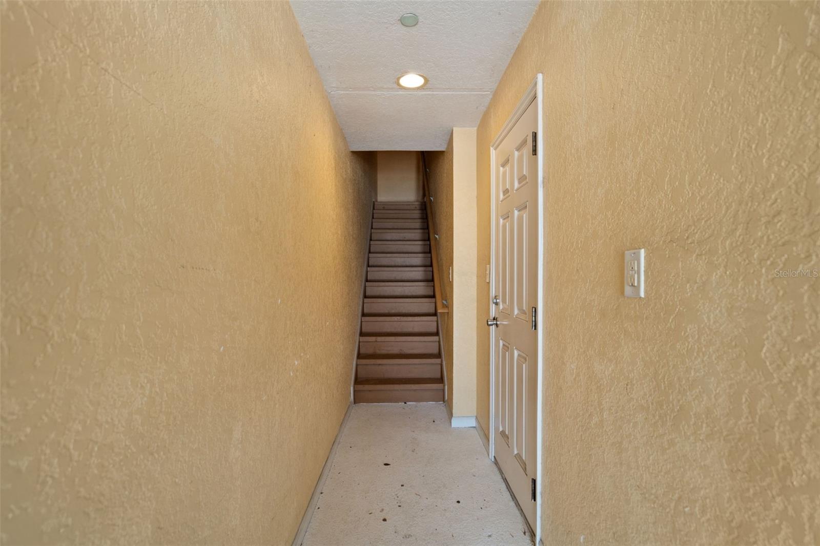 4817 TUSCAN LOON DR, TAMPA, FL, 33619