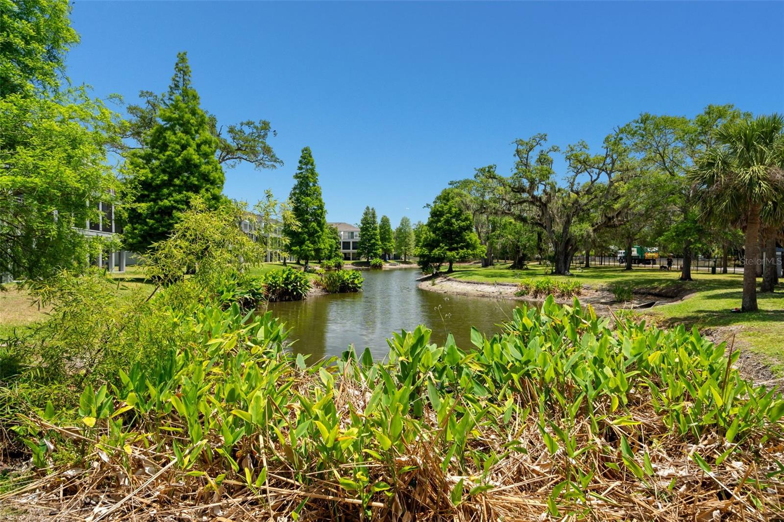 4817 TUSCAN LOON DR, TAMPA, FL, 33619