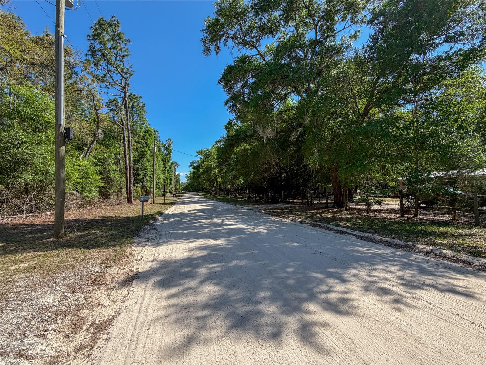 4497 NE 142ND AVE, WILLISTON, FL, 32696
