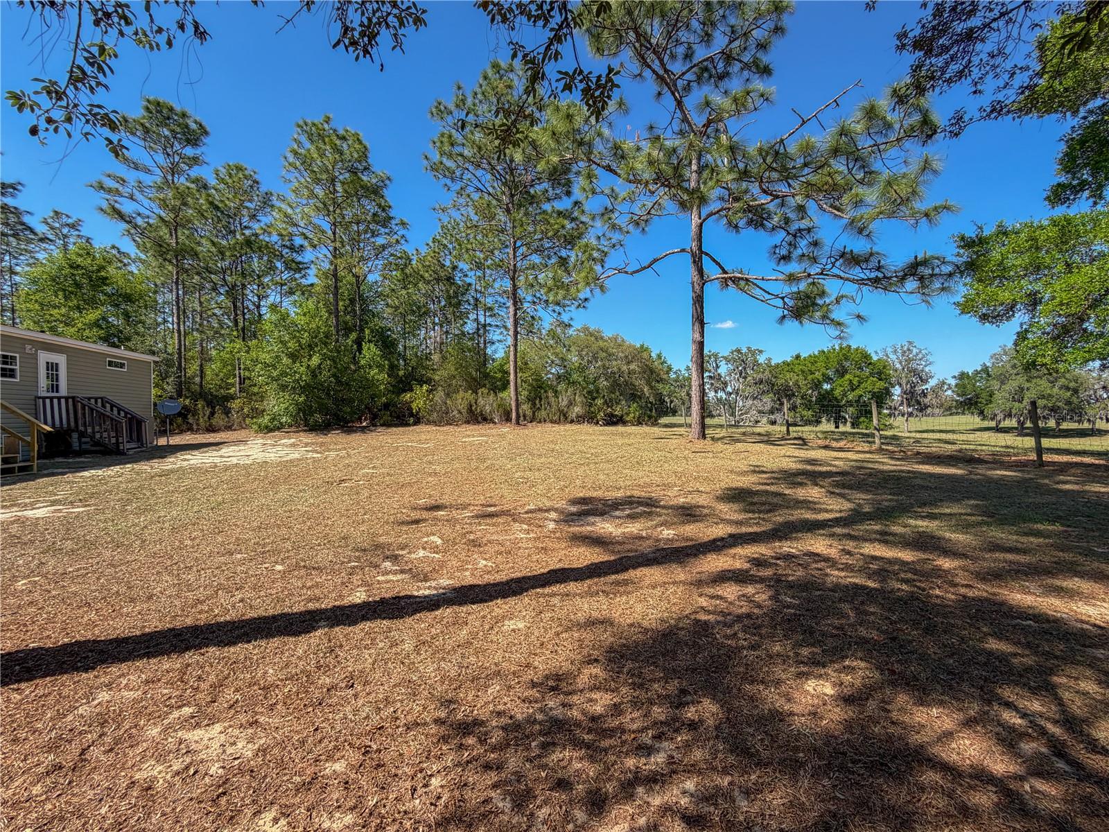 4497 NE 142ND AVE, WILLISTON, FL, 32696