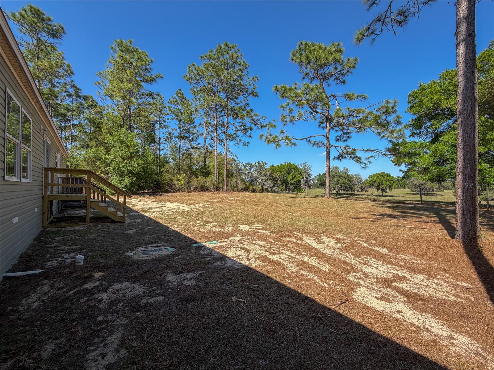 4497 NE 142ND AVE, WILLISTON, FL, 32696