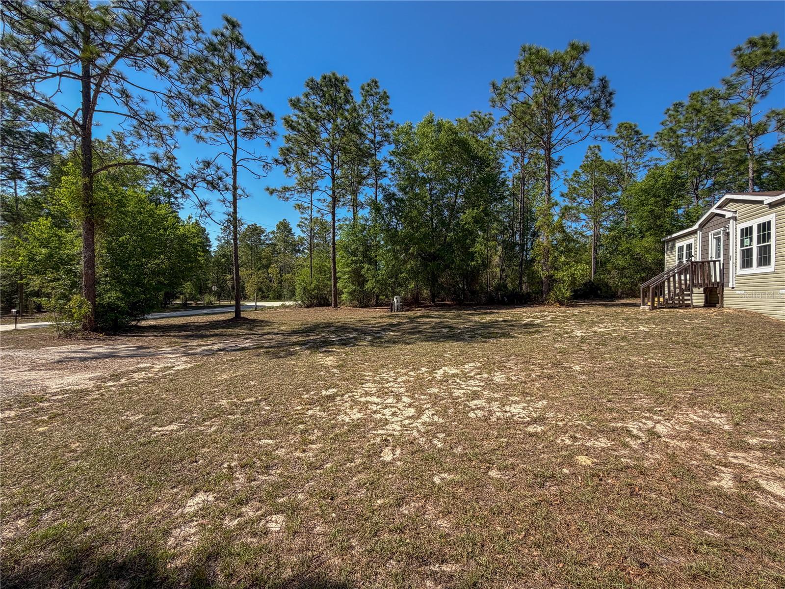 4497 NE 142ND AVE, WILLISTON, FL, 32696