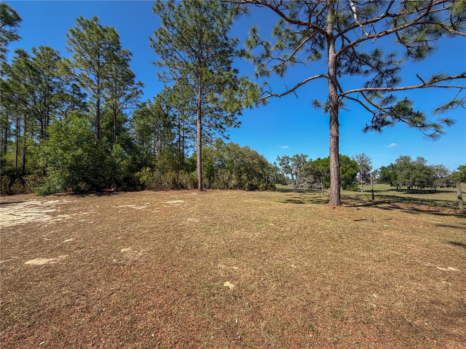 4497 NE 142ND AVE, WILLISTON, FL, 32696