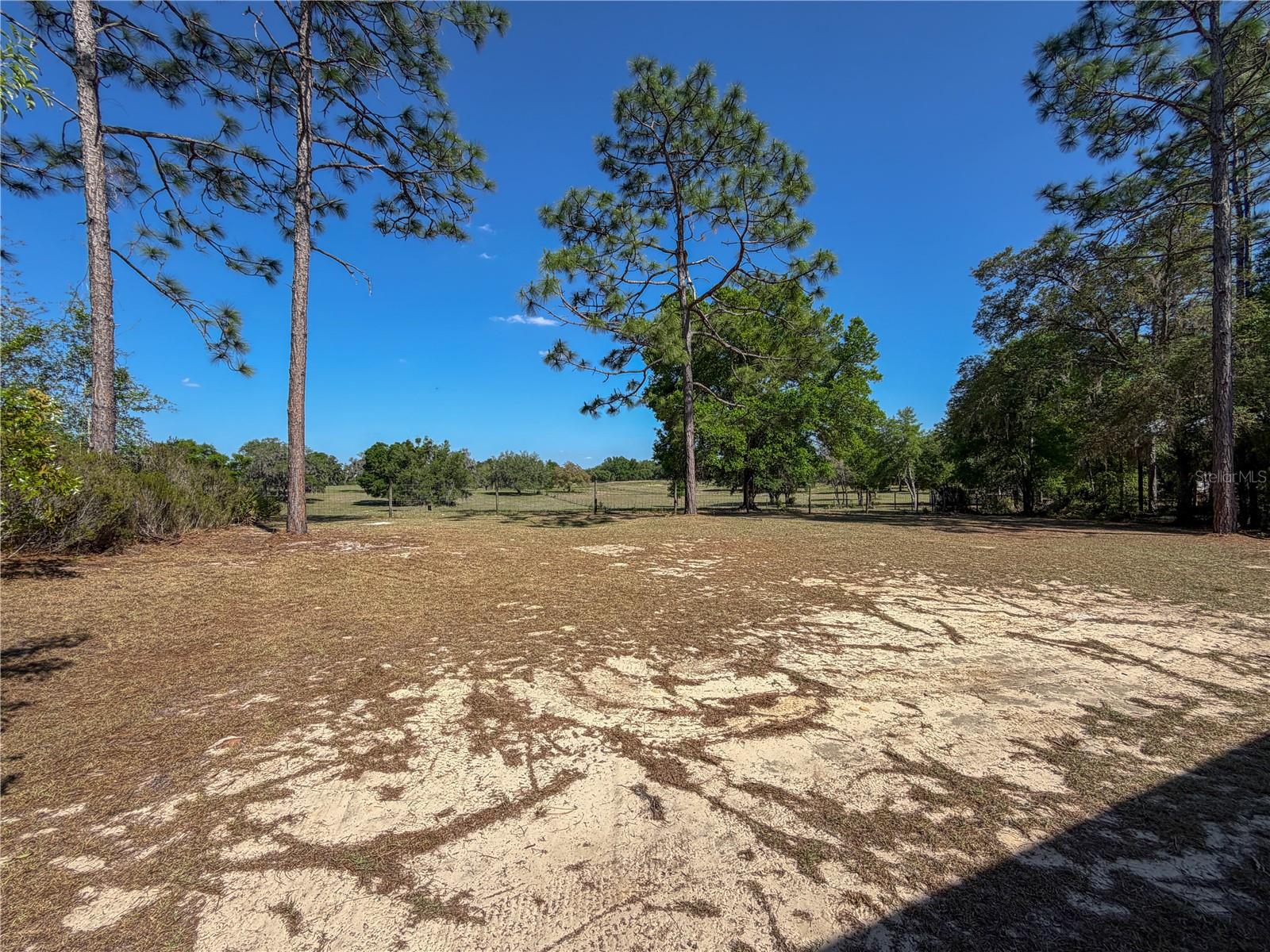 4497 NE 142ND AVE, WILLISTON, FL, 32696