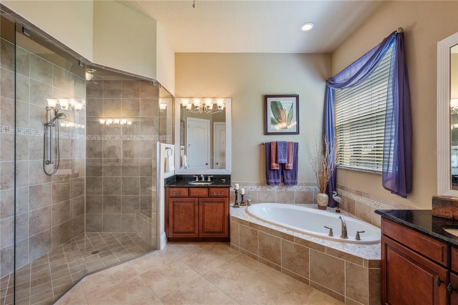 11753 VINCI DR, WINDERMERE, FL, 34786
