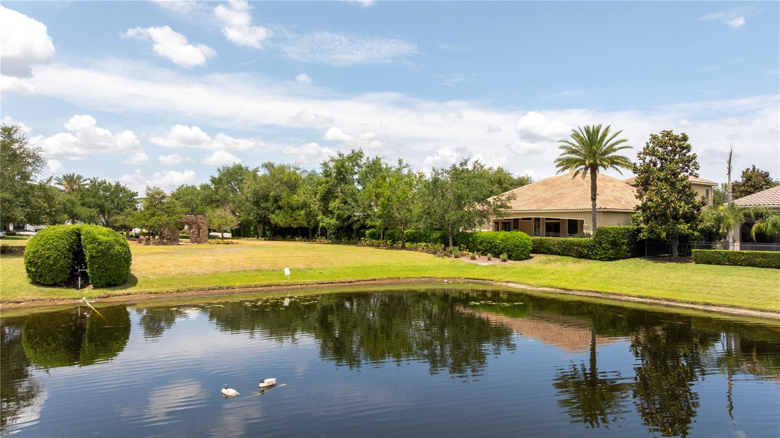 11753 VINCI DR, WINDERMERE, FL, 34786
