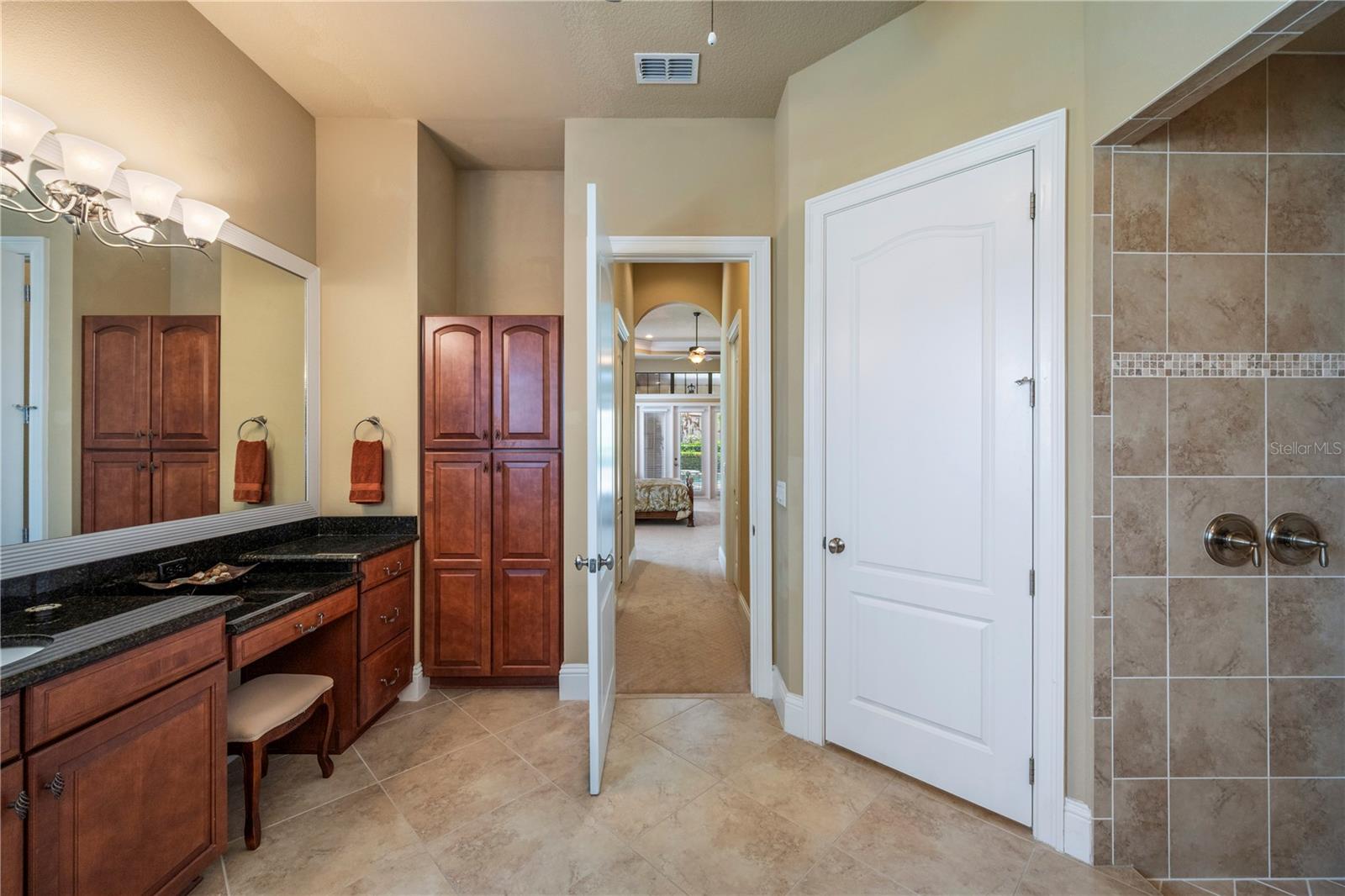 11753 VINCI DR, WINDERMERE, FL, 34786