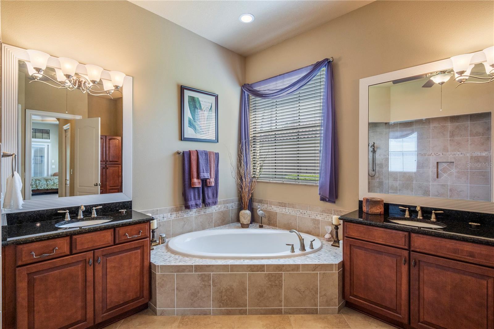 11753 VINCI DR, WINDERMERE, FL, 34786