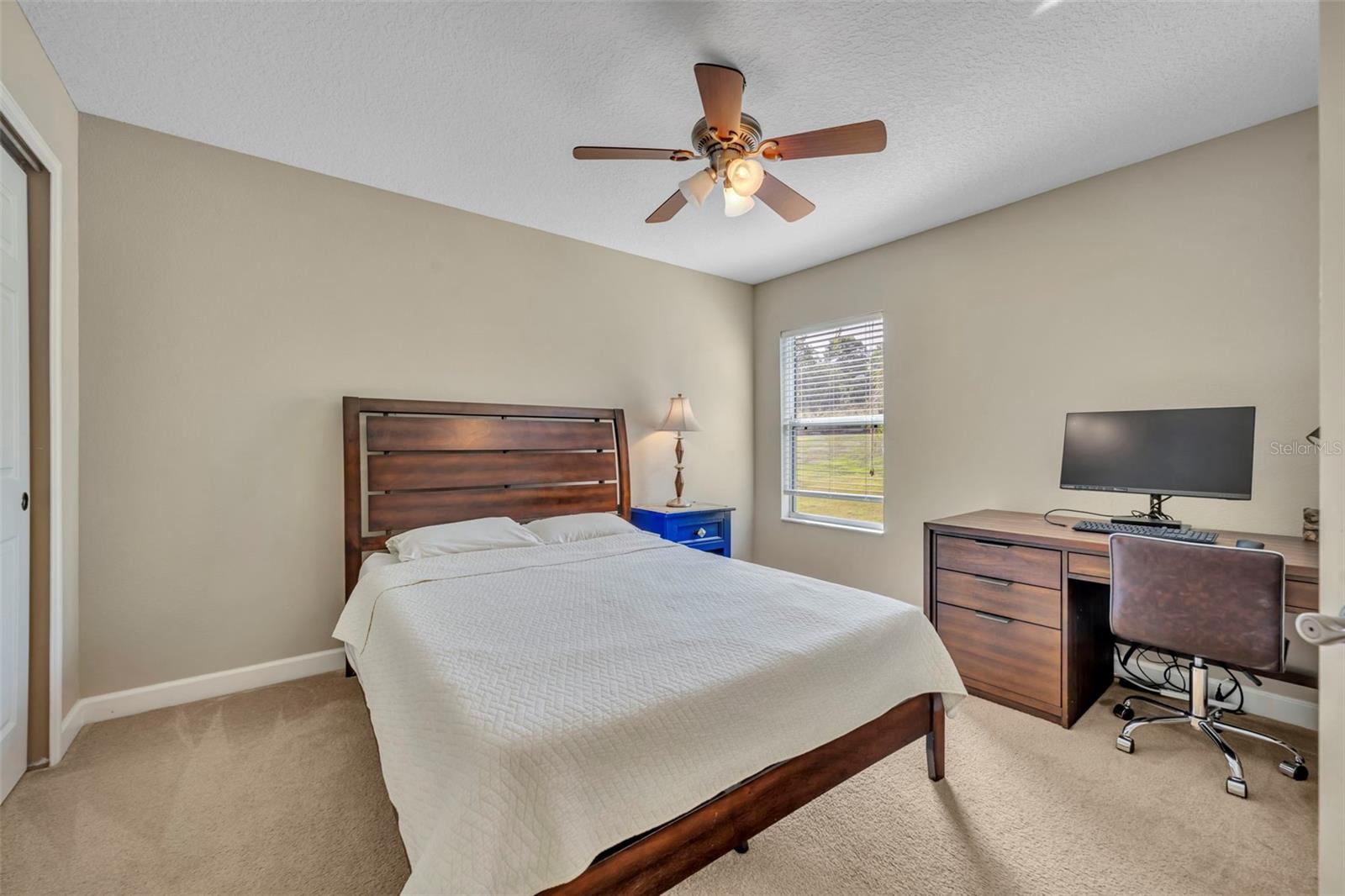 2329 NATOMA BLVD, MOUNT DORA, FL, 32757