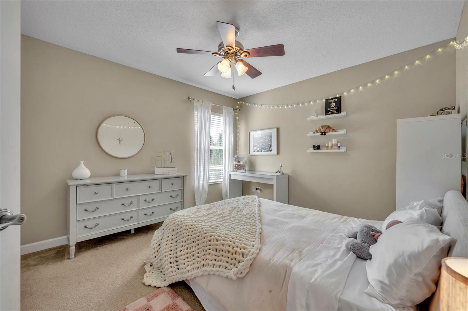 2329 NATOMA BLVD, MOUNT DORA, FL, 32757