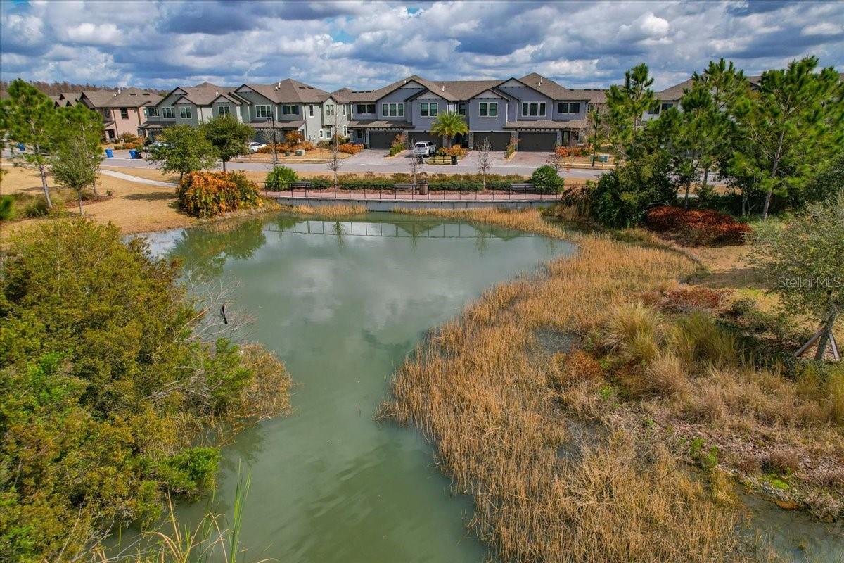 4664 LAGONA LN, WESLEY CHAPEL, FL, 33543
