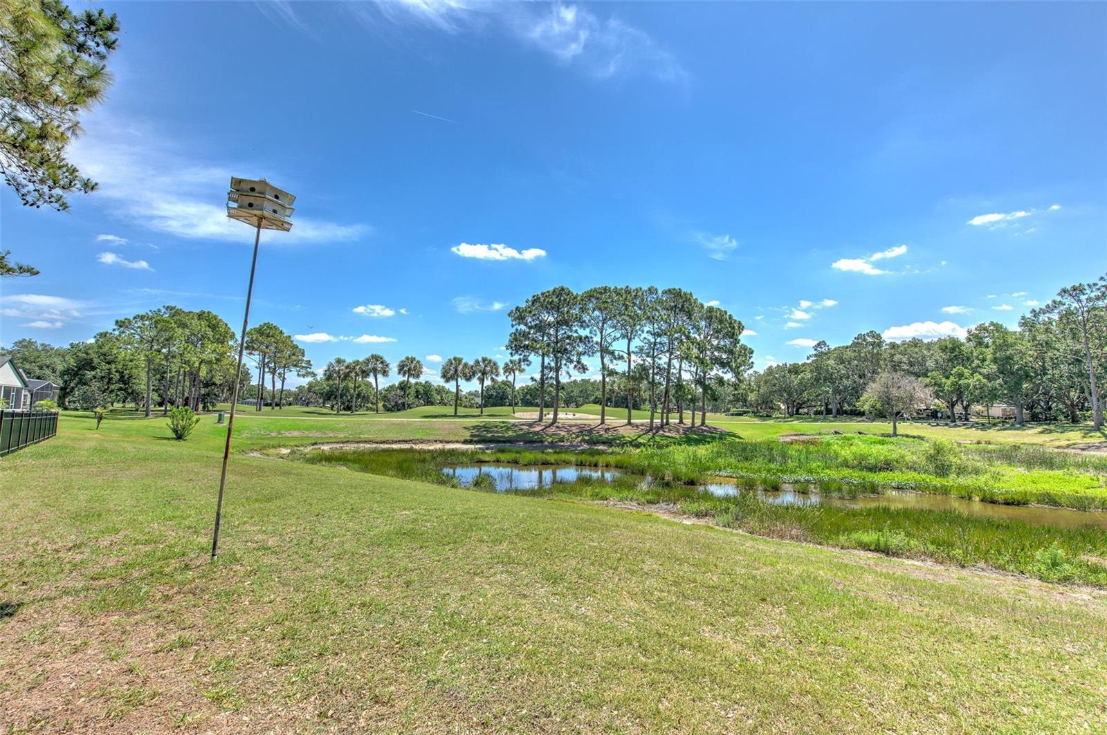 3412 STONEBRIDGE TRL, VALRICO, FL, 33596