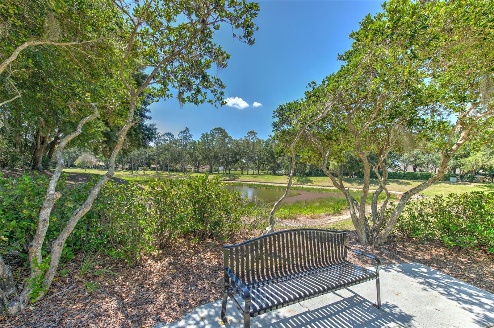 3412 STONEBRIDGE TRL, VALRICO, FL, 33596