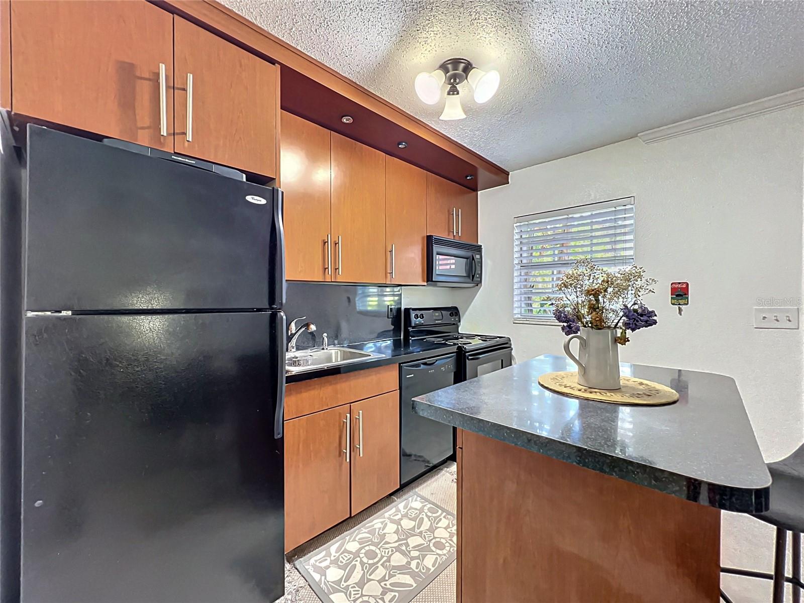 2507 E CENTRAL BLVD #22, ORLANDO, FL, 32803