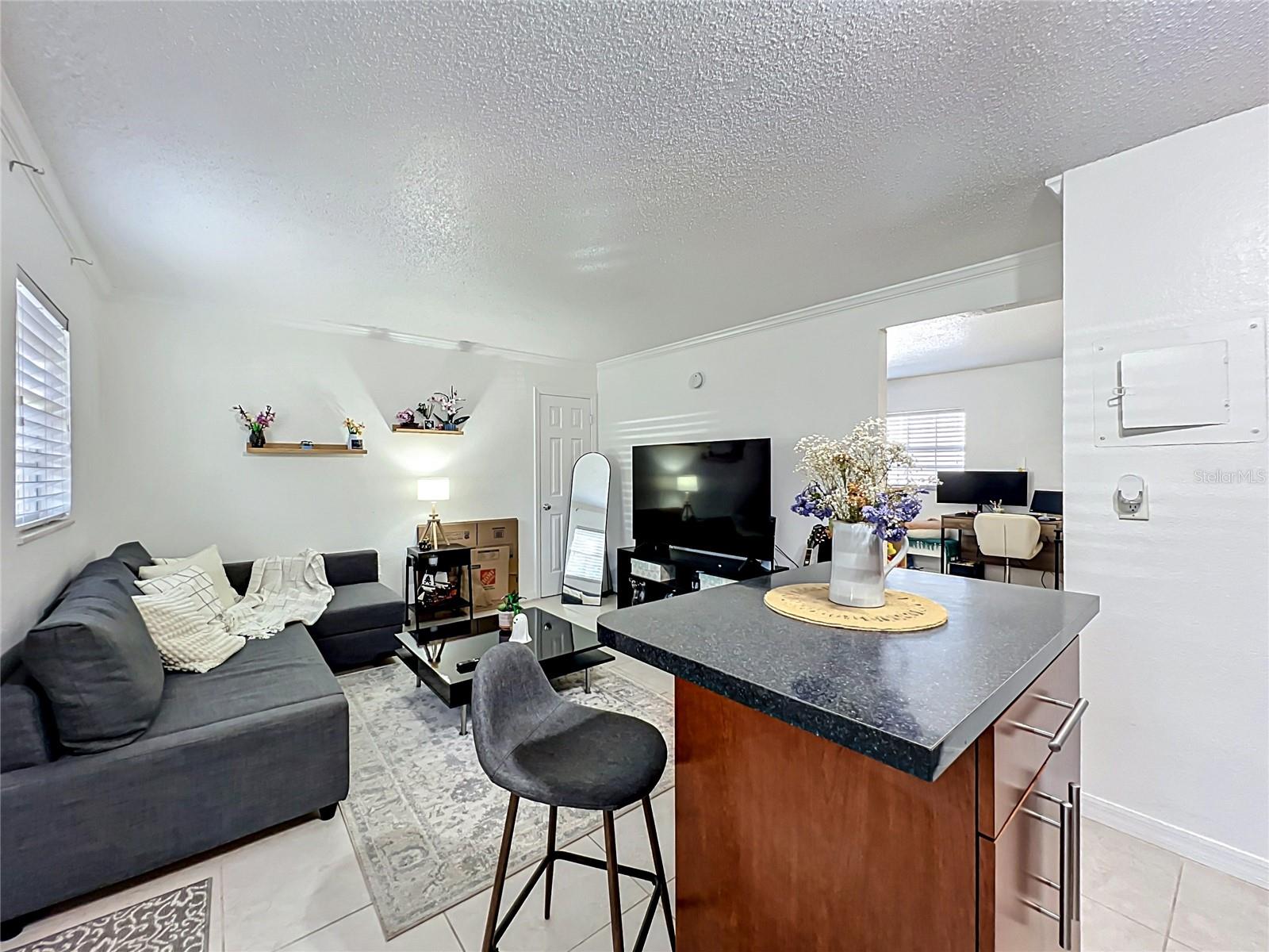 2507 E CENTRAL BLVD #22, ORLANDO, FL, 32803
