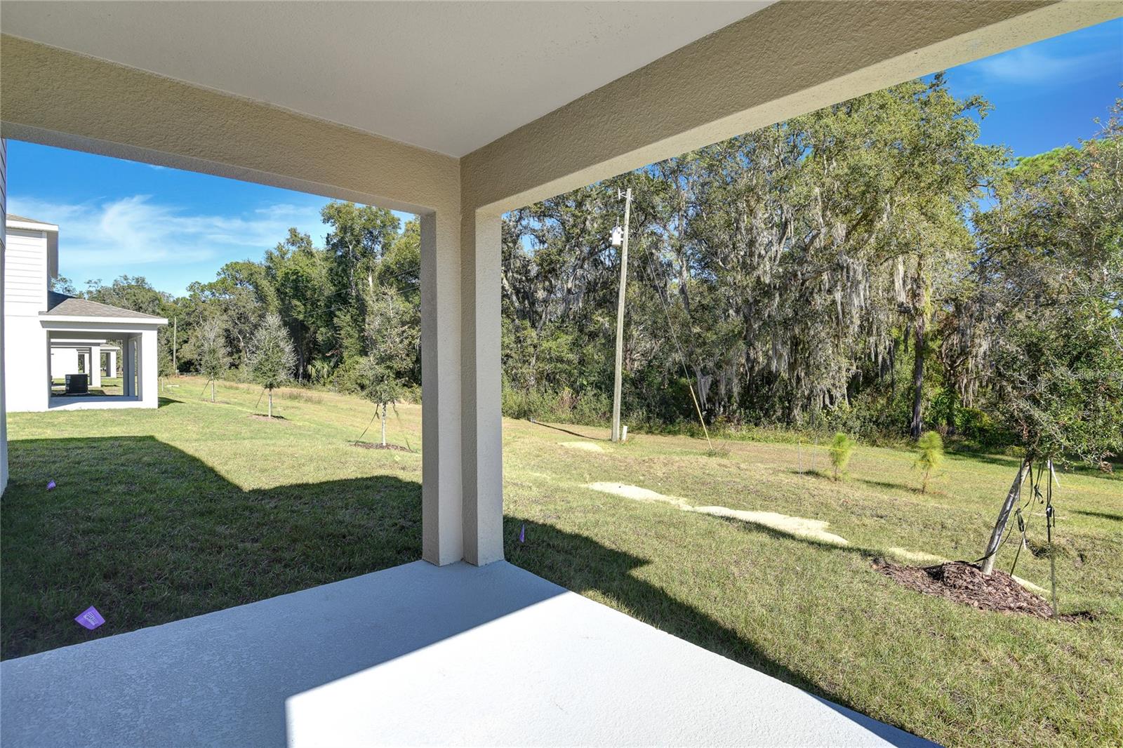 1010 CLOUD RIDGE CT, MOUNT DORA, FL, 32757