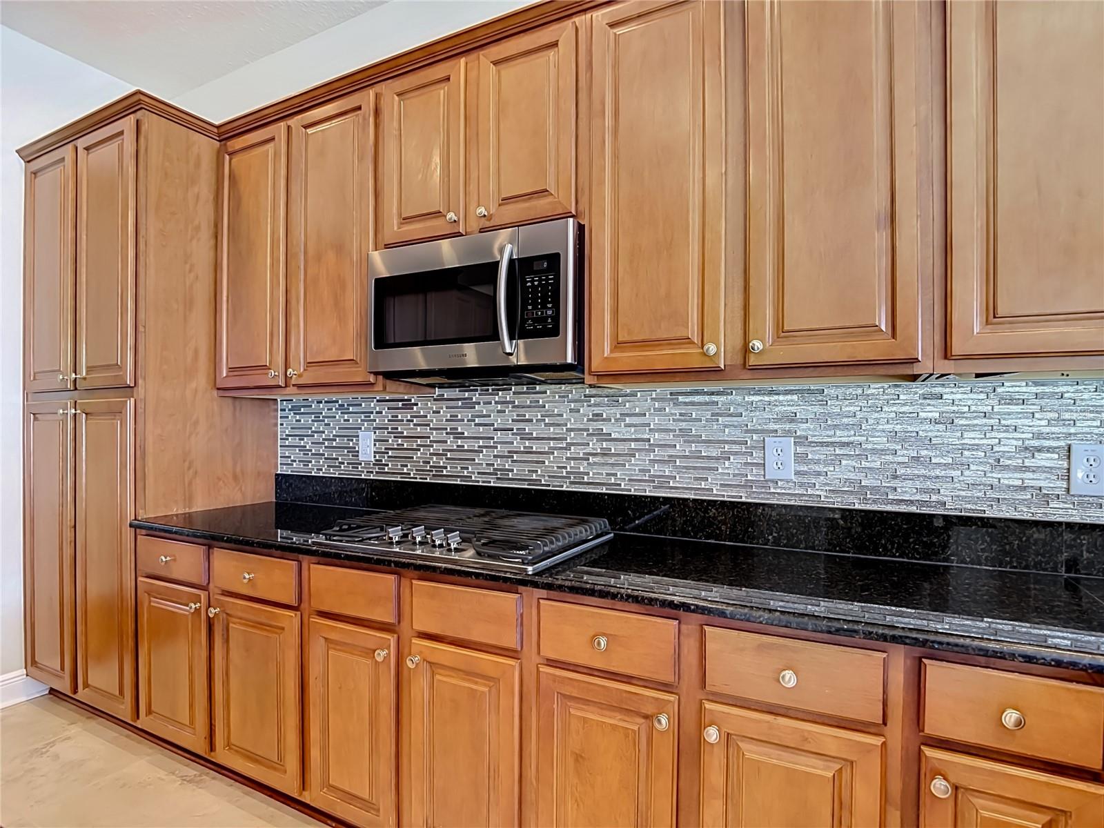 1439 BEACONSFIELD DR, WESLEY CHAPEL, FL, 33543
