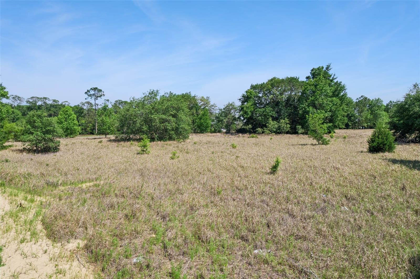 SW 149TH CT, OCALA, FL, 34481