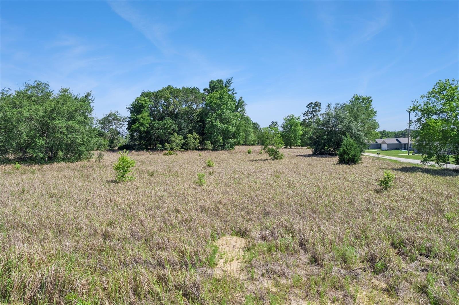 SW 149TH CT, OCALA, FL, 34481