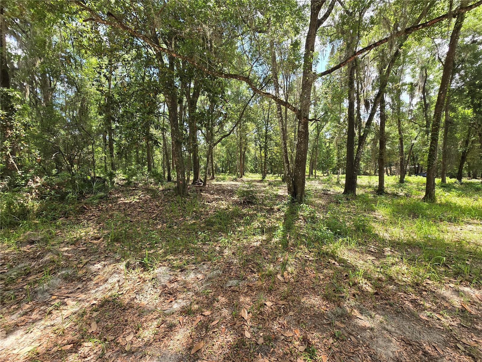 0 SW 15TH PL, OCALA, FL, 34481