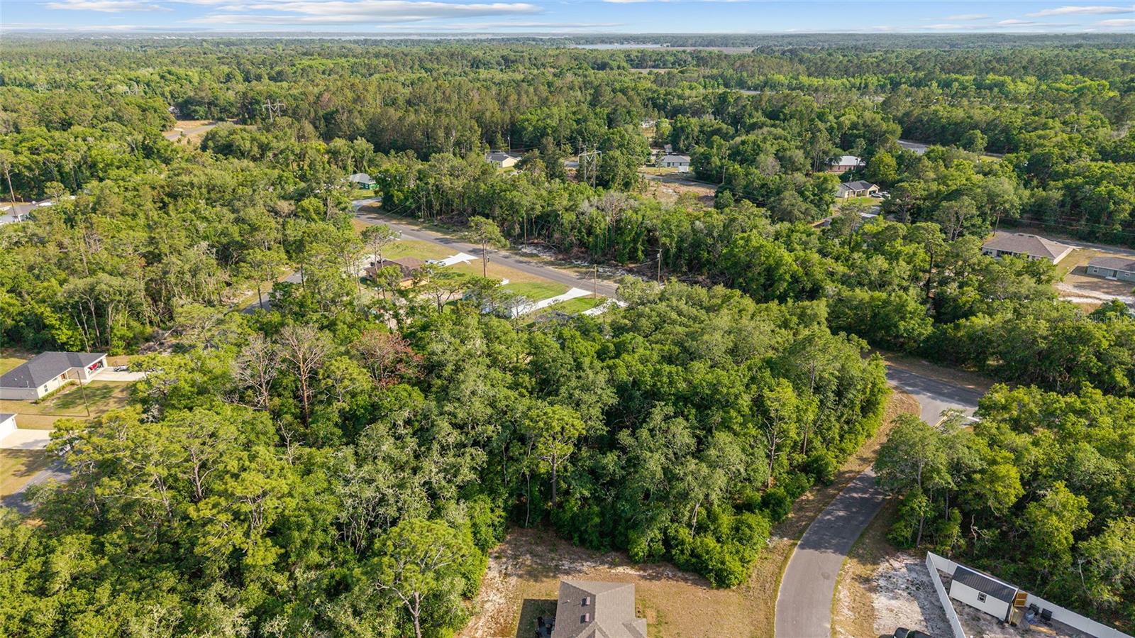358 LOCUST RD, OCALA, FL, 34480