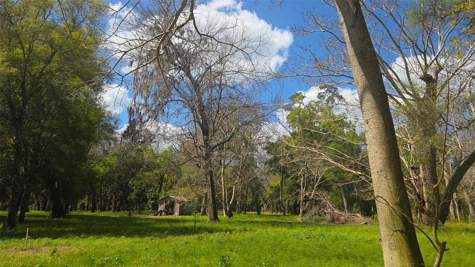 2140 ST JOHNS RIVER RD, ASTOR, FL, 32102