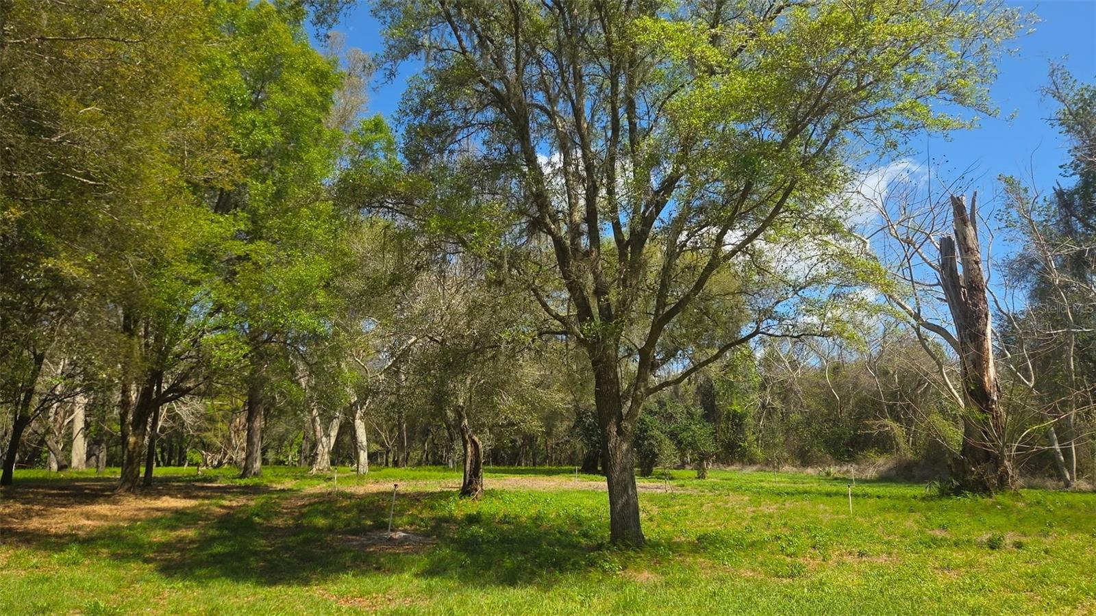 2140 ST JOHNS RIVER RD, ASTOR, FL, 32102