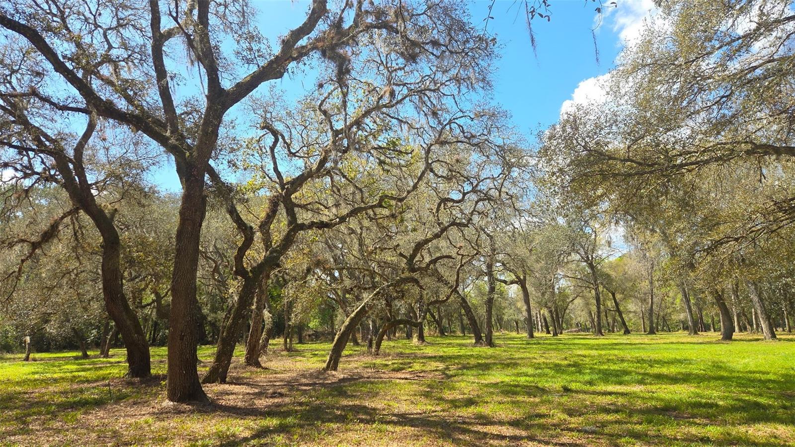 2140 ST JOHNS RIVER RD, ASTOR, FL, 32102