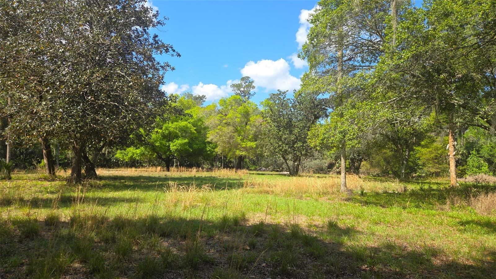 2140 ST JOHNS RIVER RD, ASTOR, FL, 32102