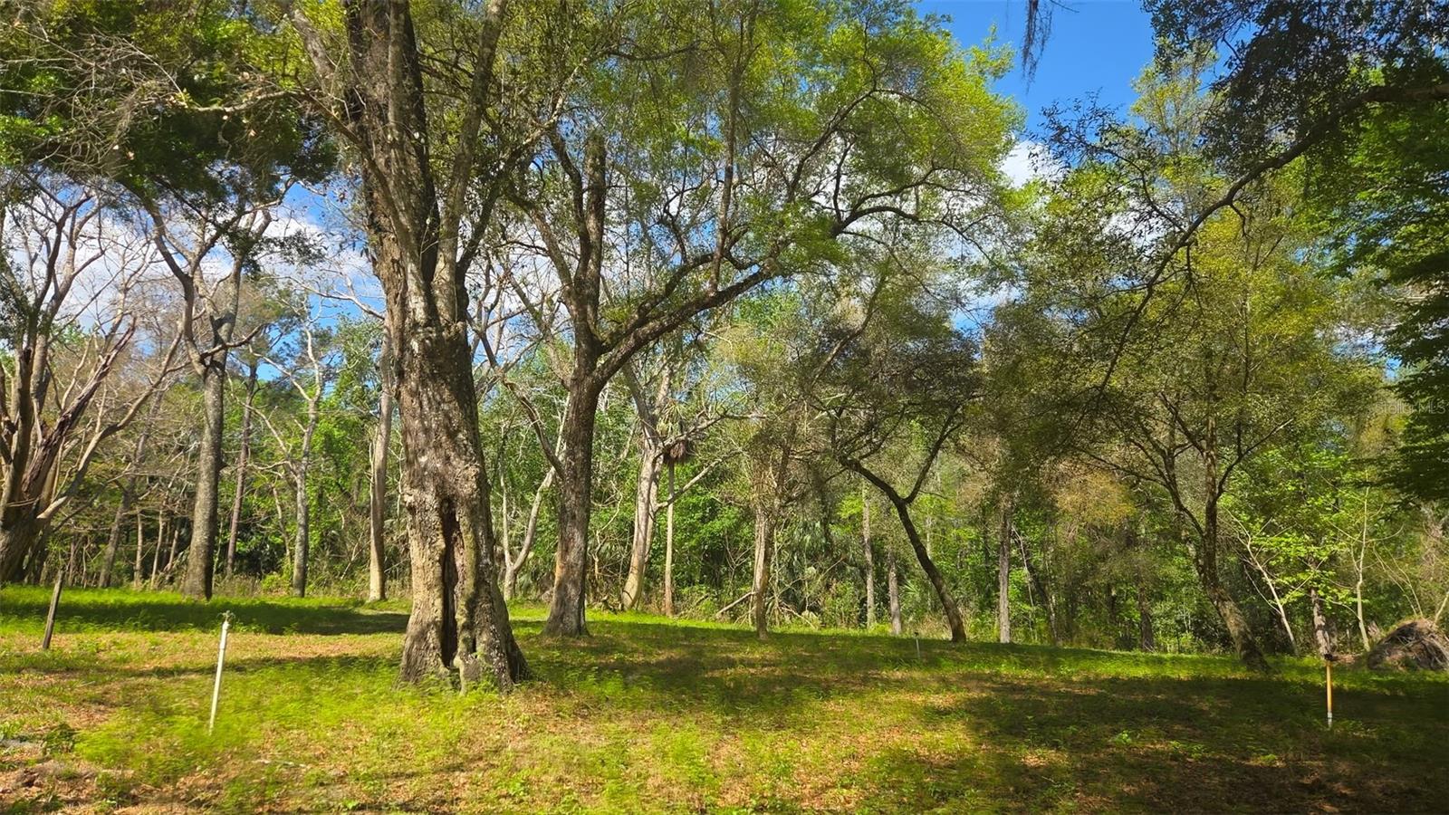 2140 ST JOHNS RIVER RD, ASTOR, FL, 32102