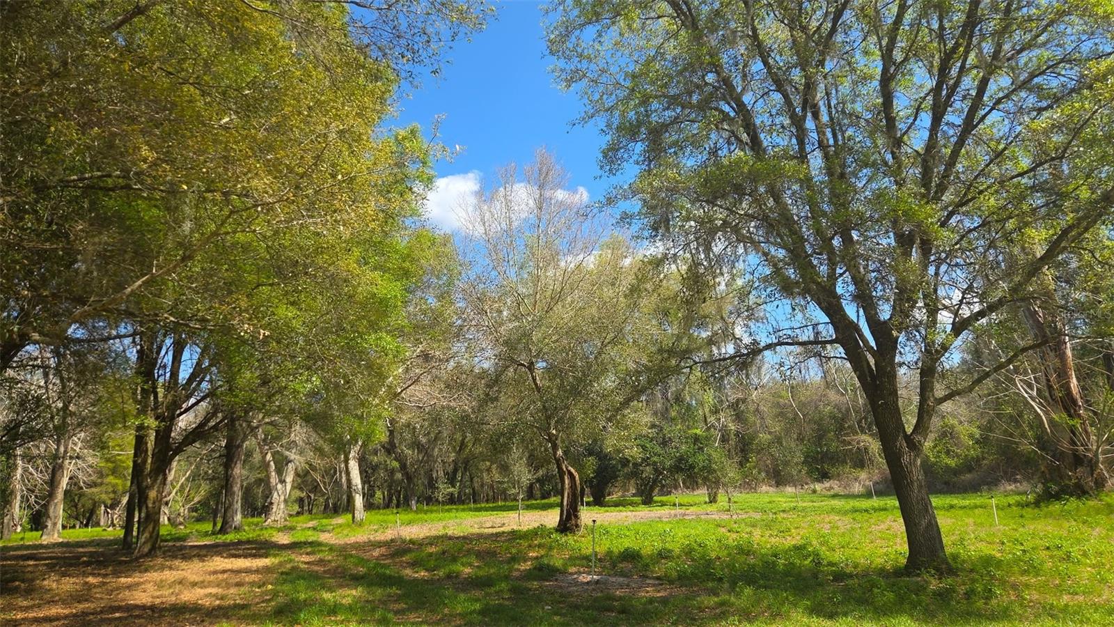 2140 ST JOHNS RIVER RD, ASTOR, FL, 32102