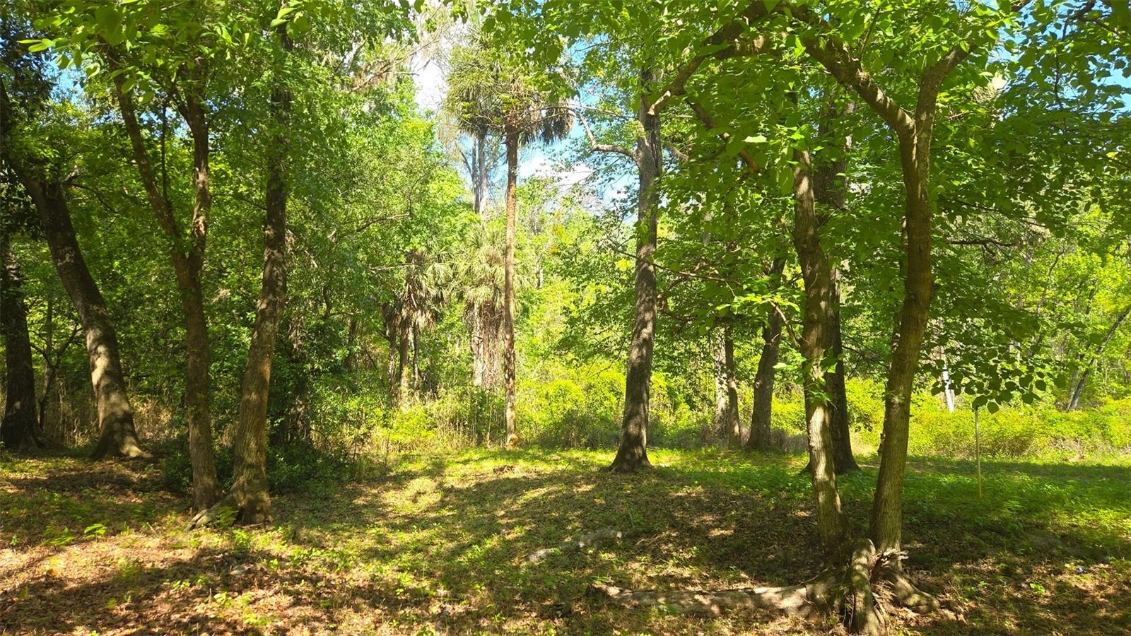 2140 ST JOHNS RIVER RD, ASTOR, FL, 32102