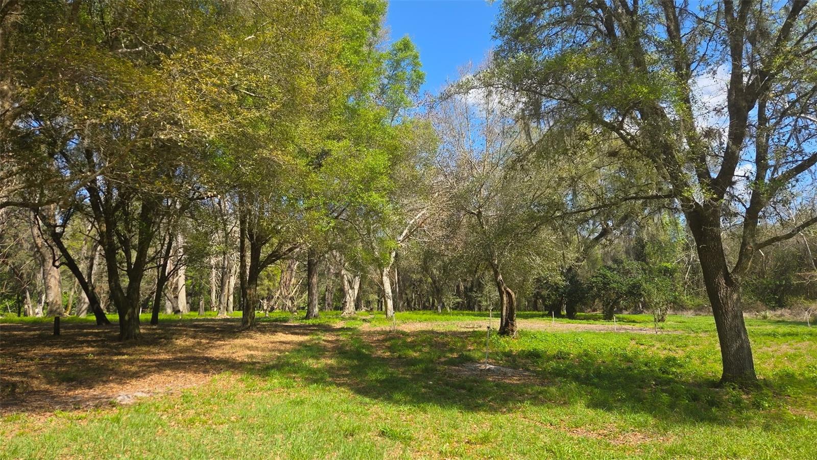 2140 ST JOHNS RIVER RD, ASTOR, FL, 32102