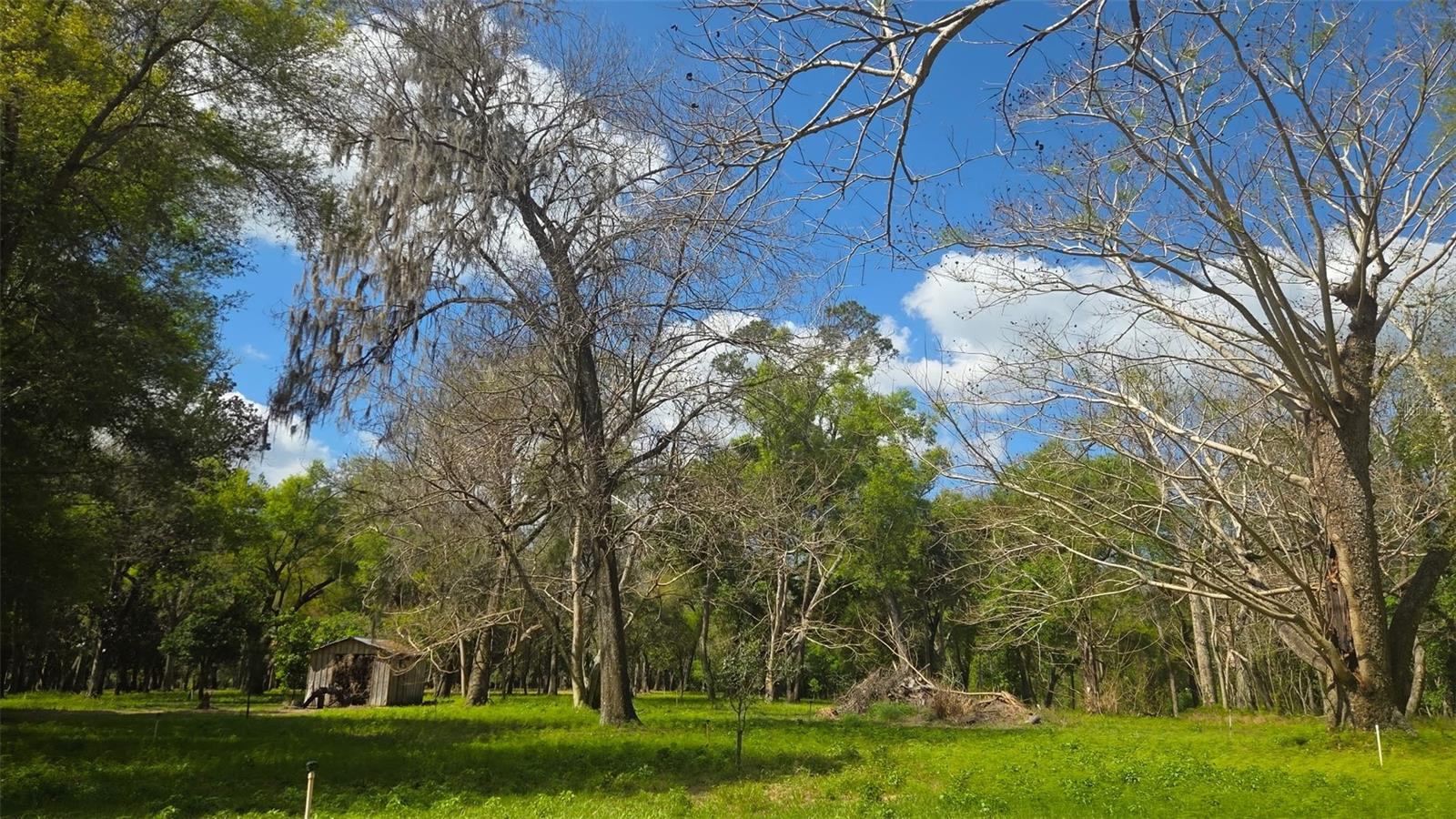 2140 ST JOHNS RIVER RD, ASTOR, FL, 32102