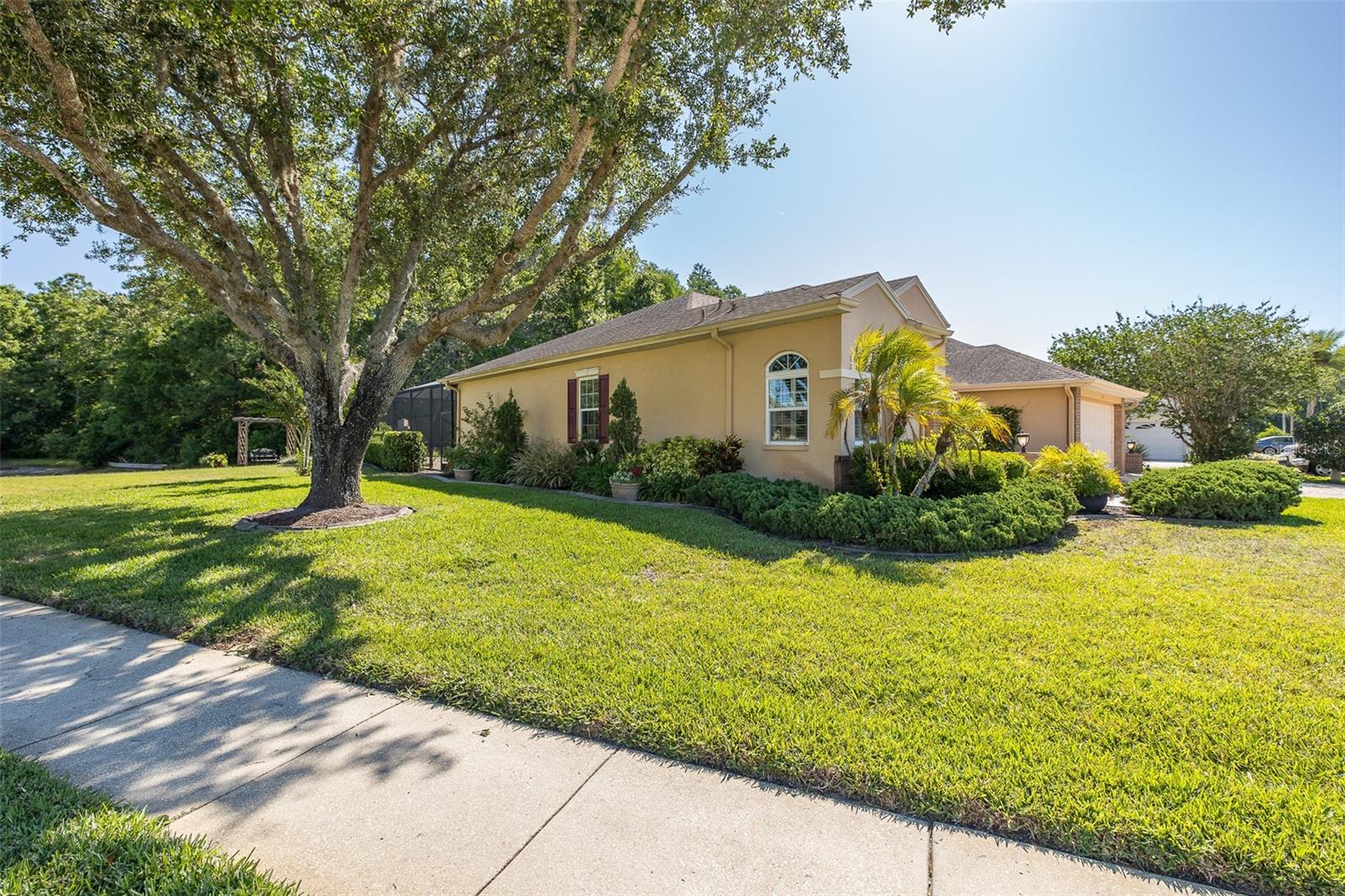 1517 HAVERHILL DR, NEW PORT RICHEY, FL, 34655