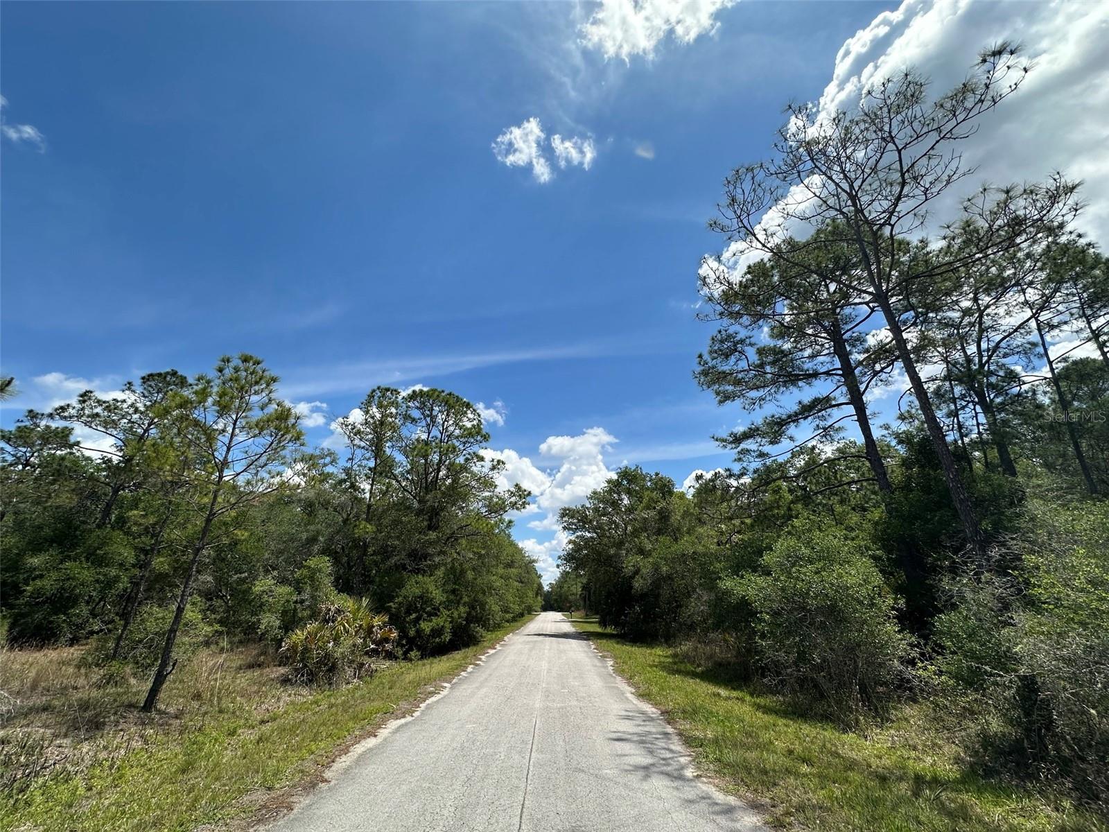 12184 W ARBORVITAE PL, CRYSTAL RIVER, FL, 34428