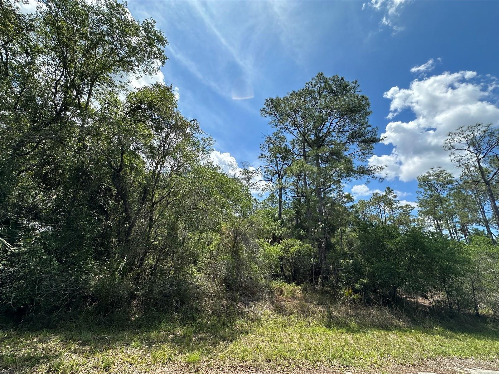12184 W ARBORVITAE PL, CRYSTAL RIVER, FL, 34428