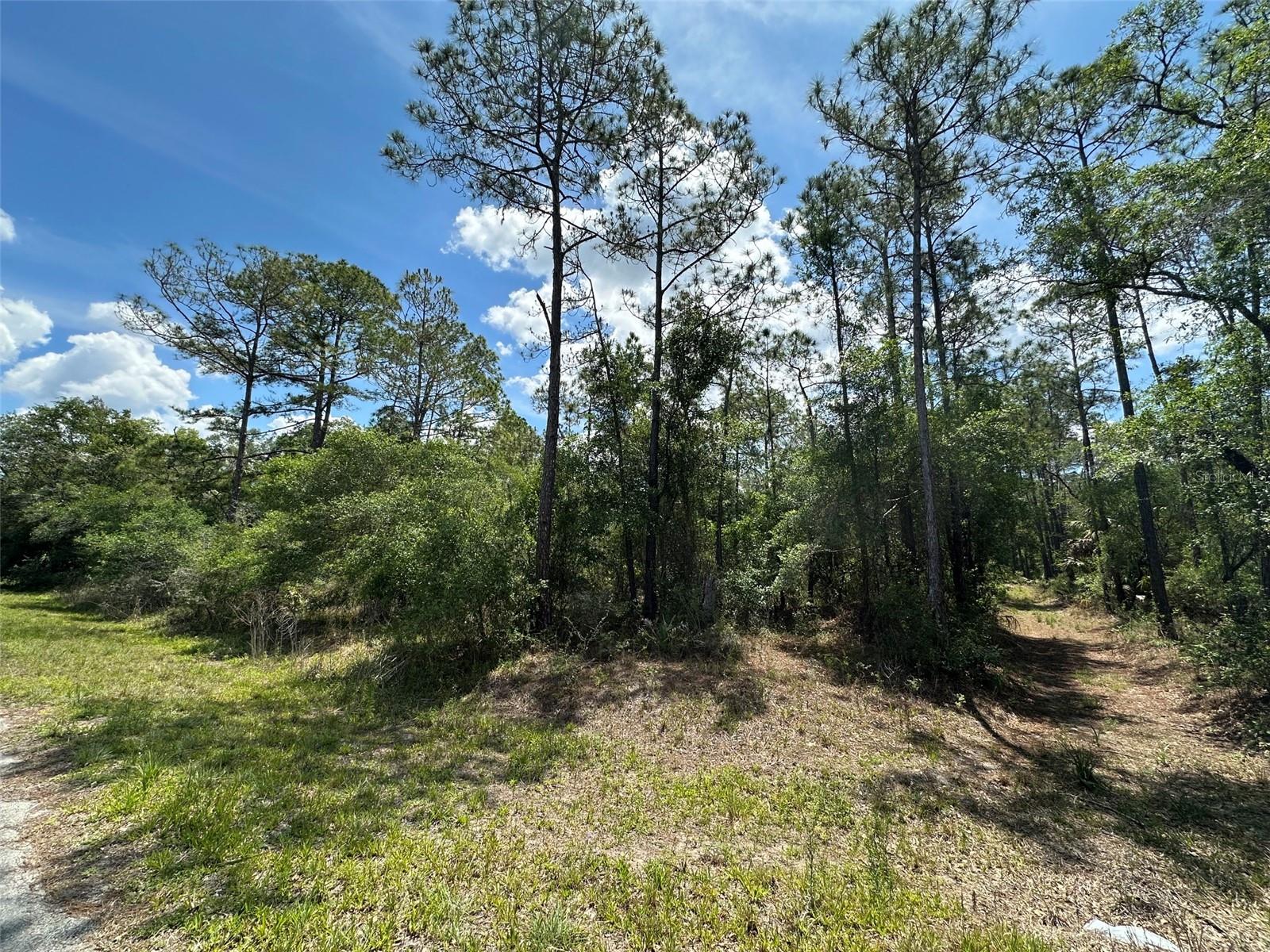 12184 W ARBORVITAE PL, CRYSTAL RIVER, FL, 34428