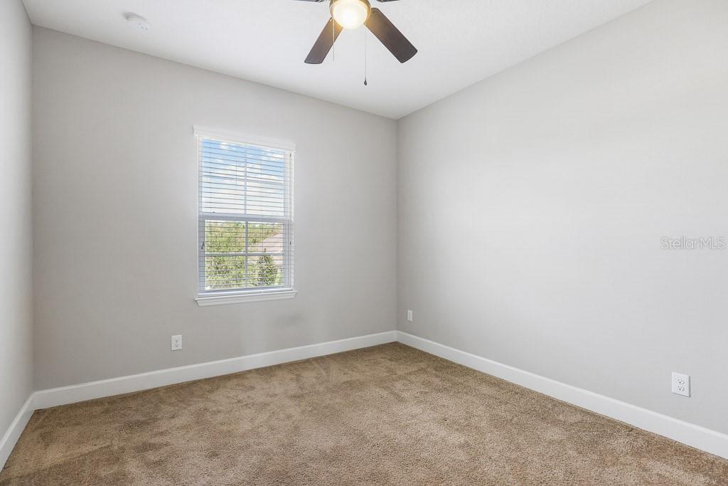 17718 BRIGHT WHEAT DR, LITHIA, FL, 33547