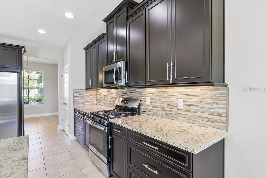 17718 BRIGHT WHEAT DR, LITHIA, FL, 33547