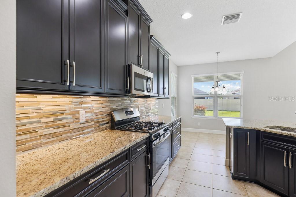 17718 BRIGHT WHEAT DR, LITHIA, FL, 33547