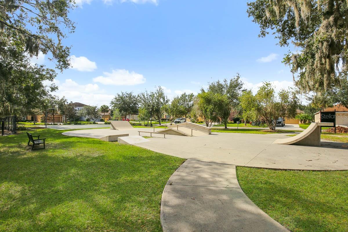 17718 BRIGHT WHEAT DR, LITHIA, FL, 33547