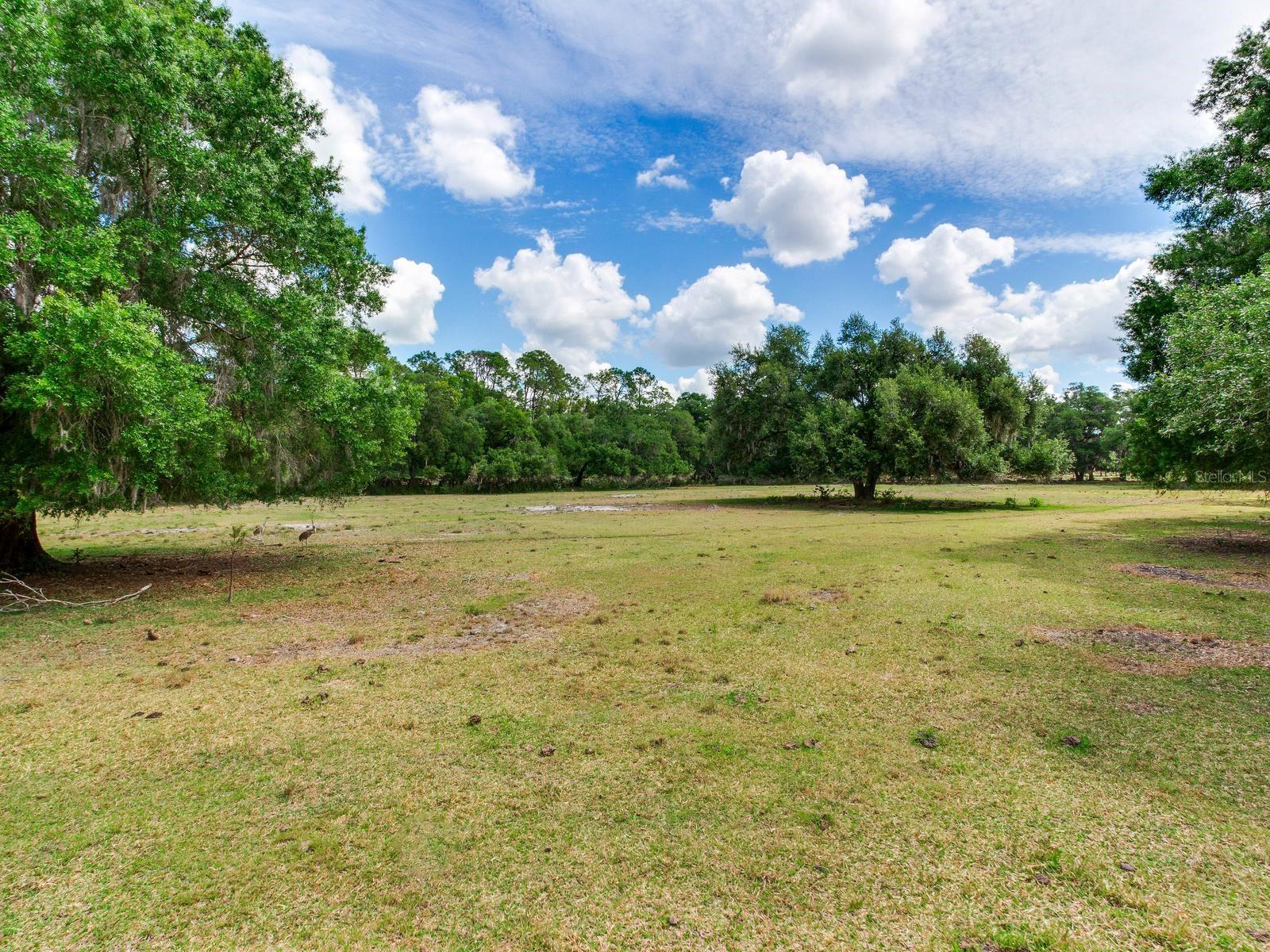 UNPLATTED, THONOTOSASSA, FL, 33592