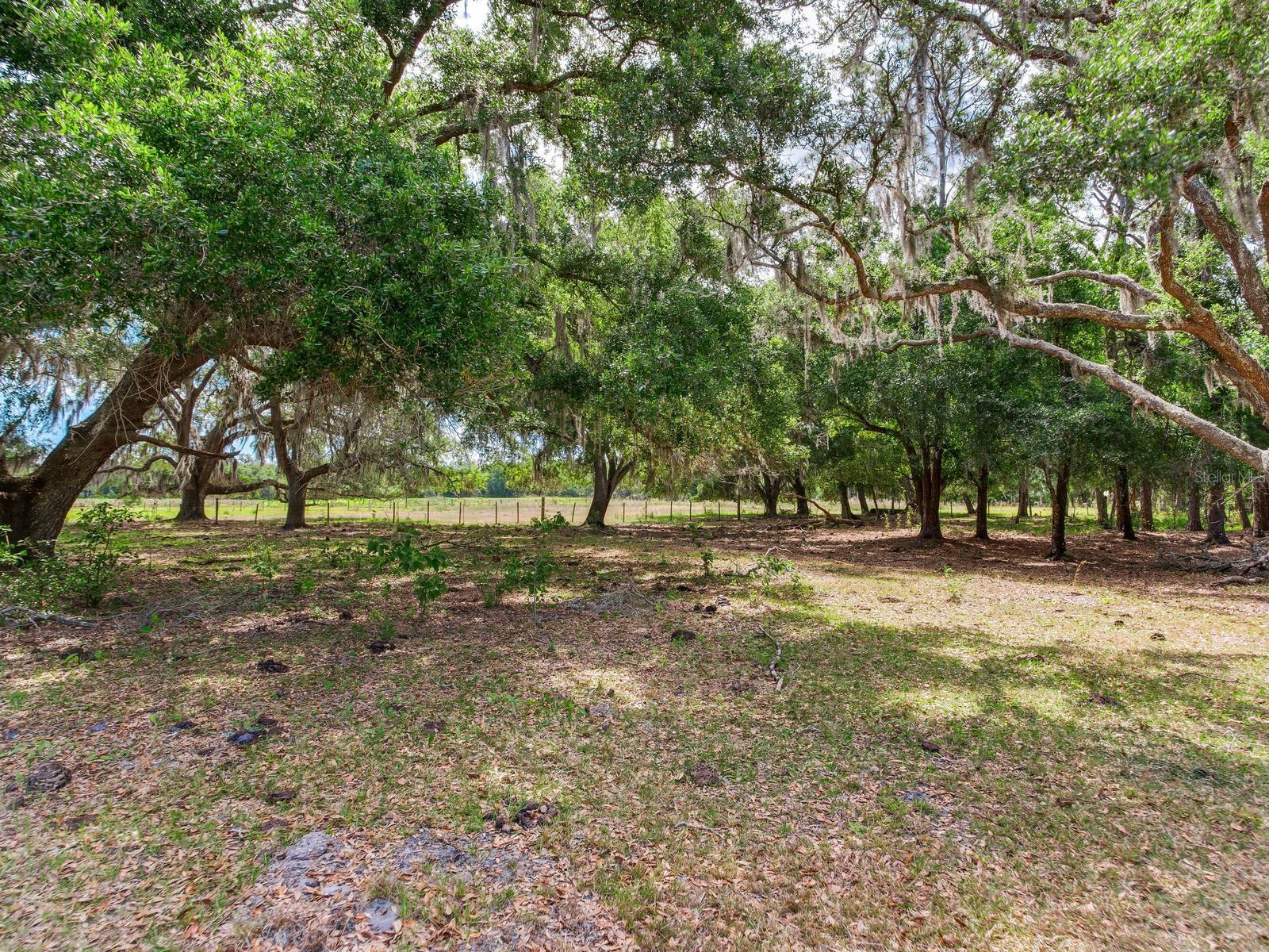 UNPLATTED, THONOTOSASSA, FL, 33592