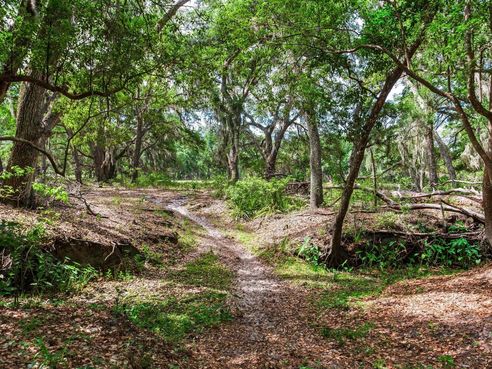 UNPLATTED, THONOTOSASSA, FL, 33592