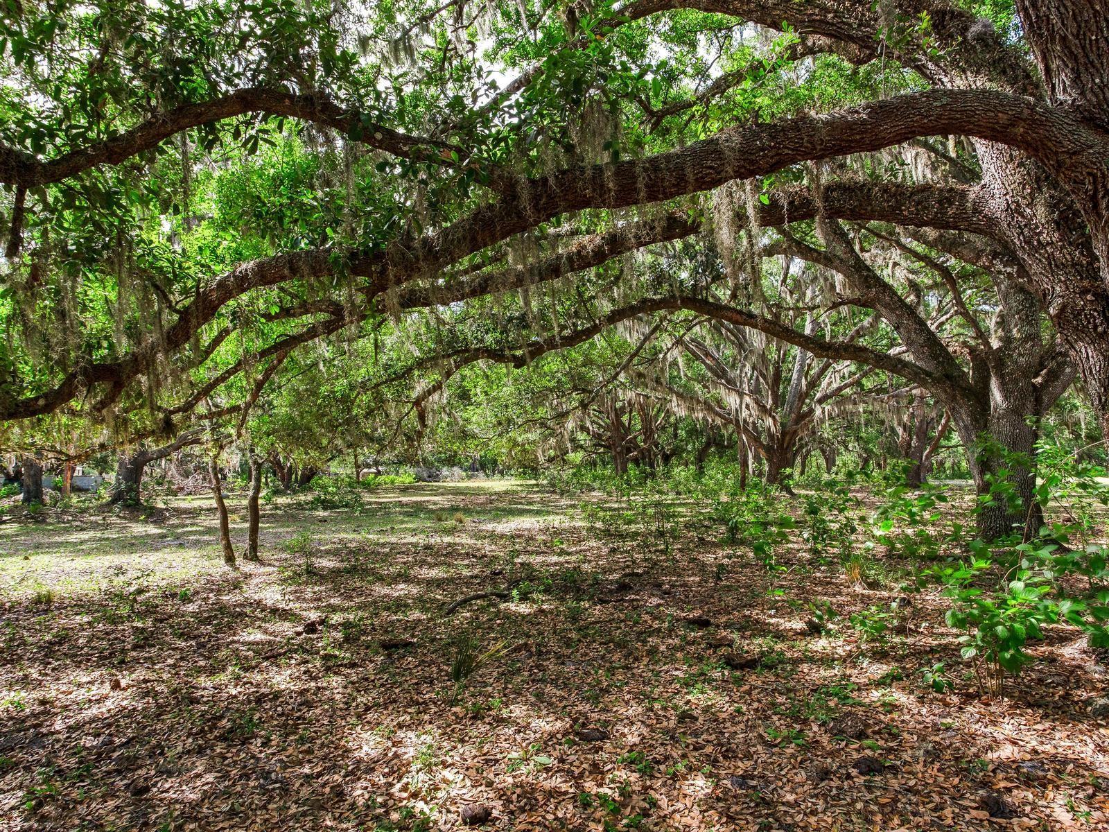UNPLATTED, THONOTOSASSA, FL, 33592